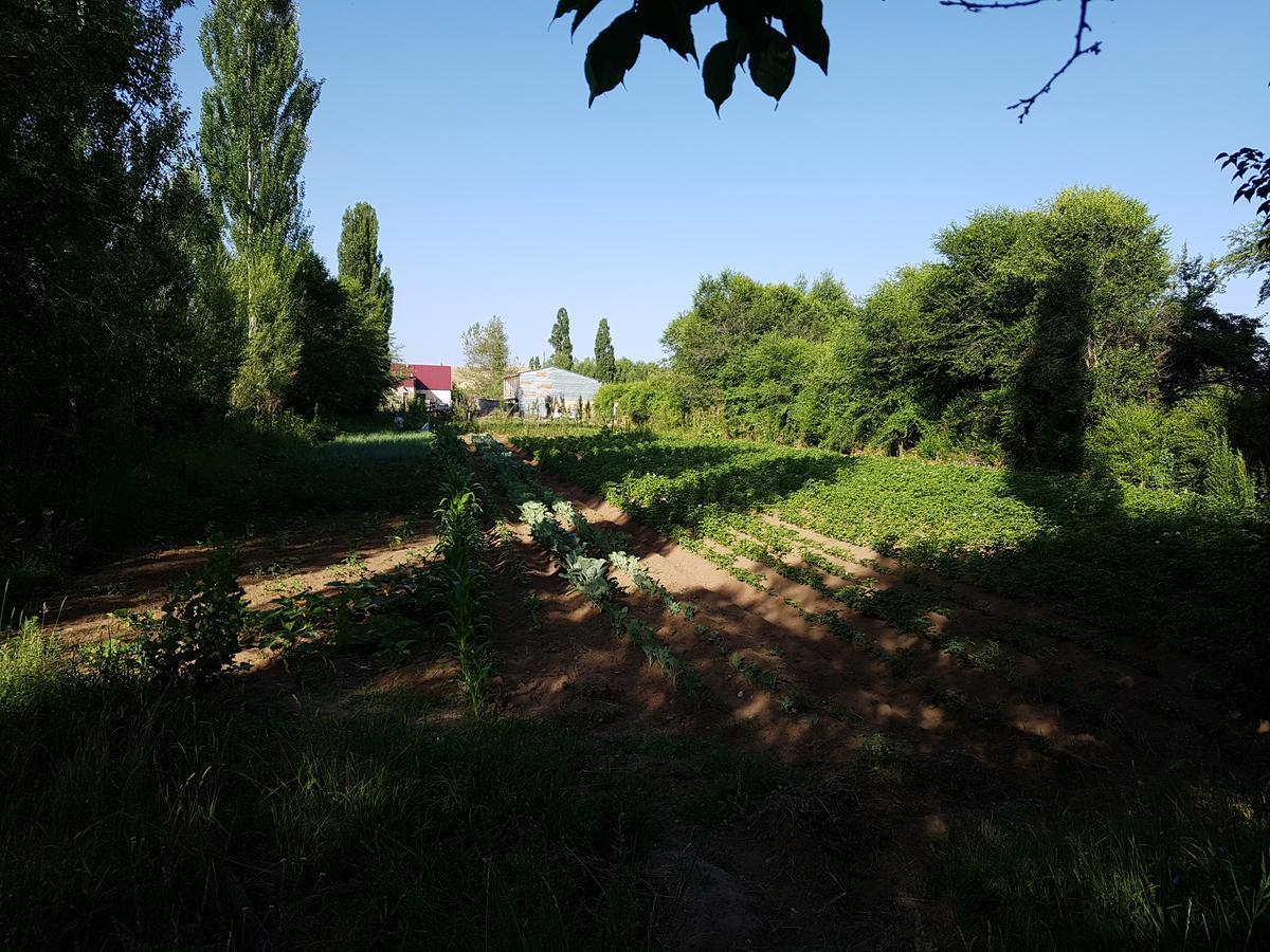 Farmer'S Pond House Koysary Buitenkant foto